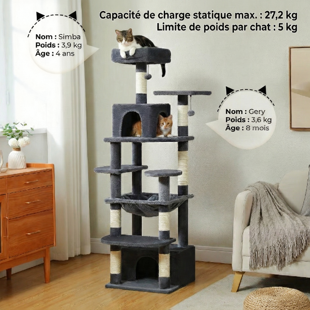 Arbre à Chat 164 cm pour Maine Coon avec Grand Hamac et Niches